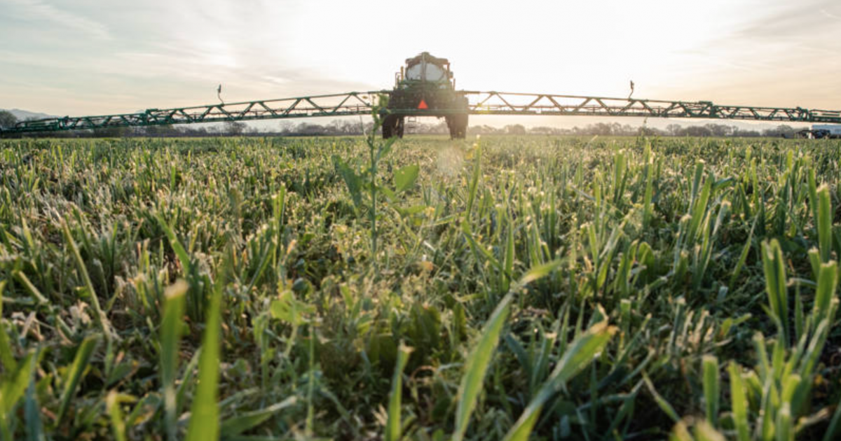 DCVC Blue River Technology