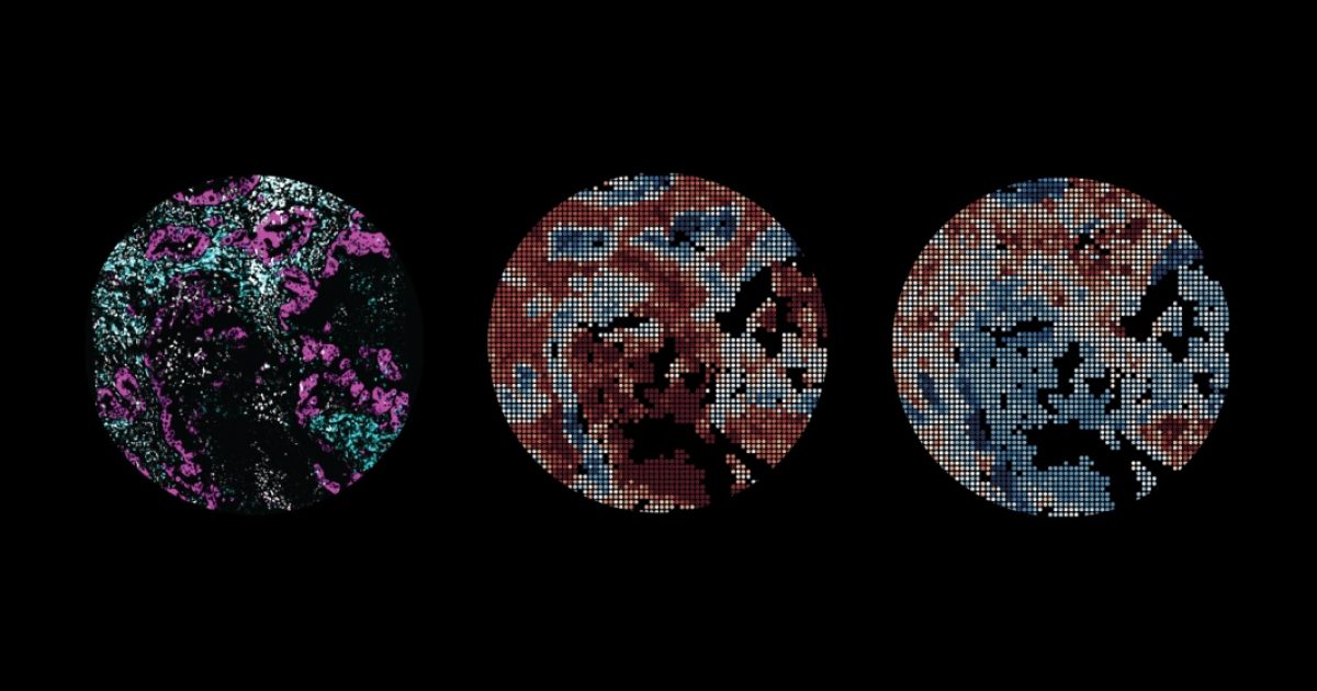 DCVC | Deep Tech Opportunity: TechBio companies are using data to…